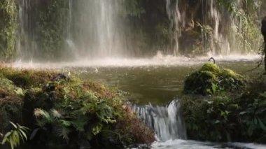 Şelale Chengdu yumuşak güneş ışığı ile