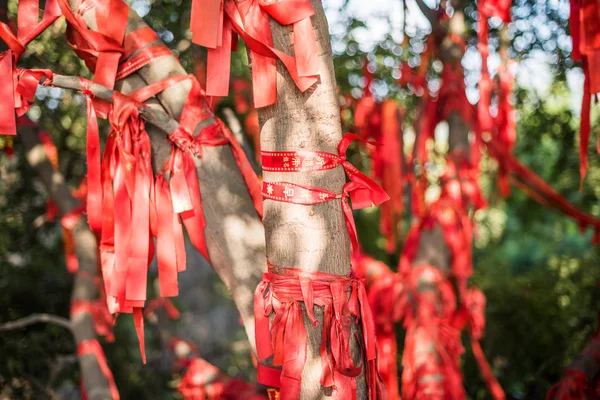 Červené stužky s přáním psaní, visí na stromech — Stock fotografie