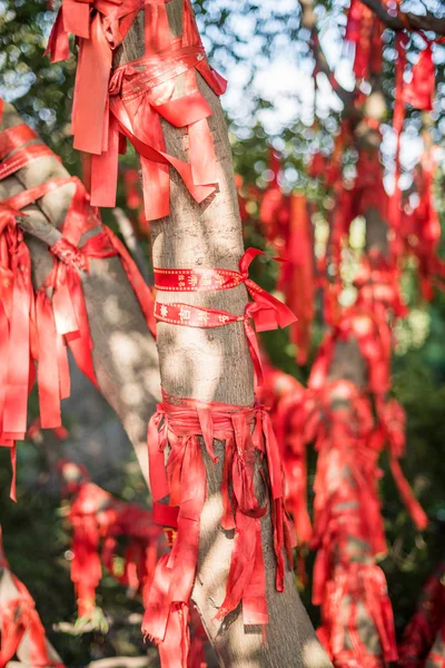 Rode linten met wens schrijven opknoping op bomen — Stockfoto