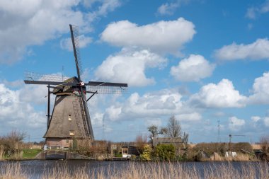 Doğal yakınındaki Rotterdam Hollanda yel değirmeni
