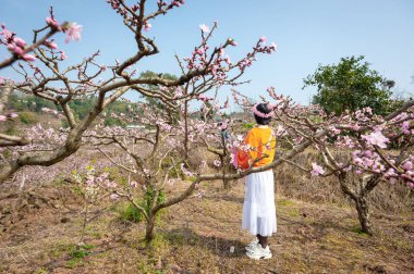 Bir çiçek taç ile Çinli kız şeftali çiçeği ağaçları zevk