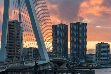 Gün batımında Rotterdam erasmus köprüsü, Hollanda