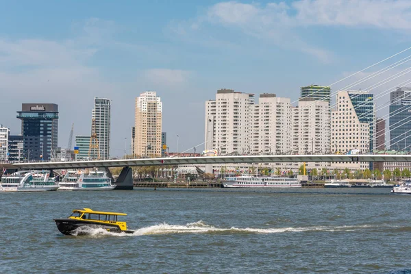 Wassertaxi rast auf Fluss in Rotterdam, Niederlande — Stockfoto