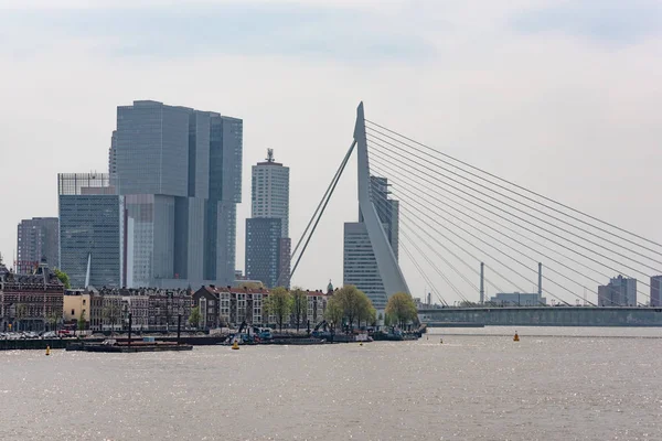 Rotterdamský pohled na panorama řeky New Meuse — Stock fotografie