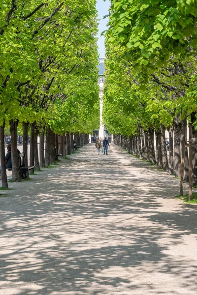 Ağaçlarla çevrili bir yolda yürüyen çift