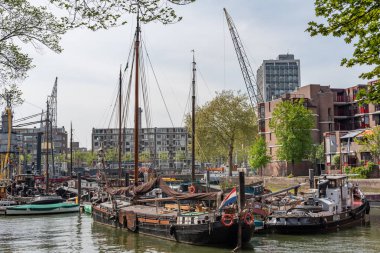 Rotterdam limanında eski tekneler