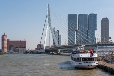 Rotterdam manzarası ile Erasmus Köprüsü