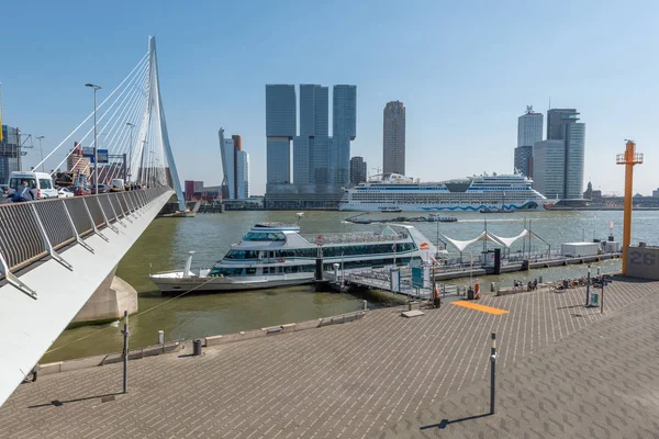 Panorama Rotterdamu s most Erasmus — Stock fotografie