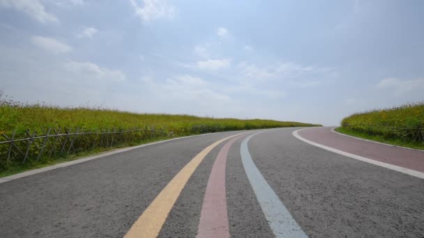 グリーンウェイ道路と黄色い花畑の上空を飛行する民間航空機 — ストック動画