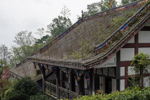 山の古い建物の屋根の上で栽培植生 — ストック写真