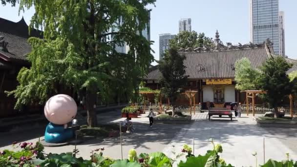 Temple bouddhiste Daci avec une sculpture de manga en forme de moine sous un arbre par une journée ensoleillée à Chengdu — Video