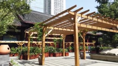 Chengdu 'da güneşli bir günde, ağacın altında keşiş şeklinde bir manga heykeli olan Daci Budist tapınağı.