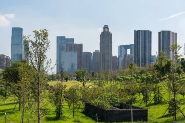 Güneşli bir günde Chengdu 'da açık mavi gökyüzü olan çimenli gökdelenler.