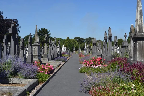 Colori Dalle Tombe — Foto Stock