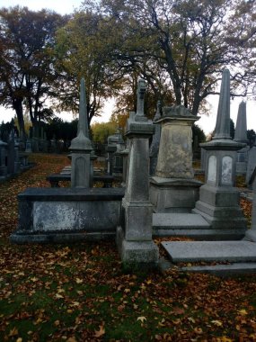 life among the graves clipart