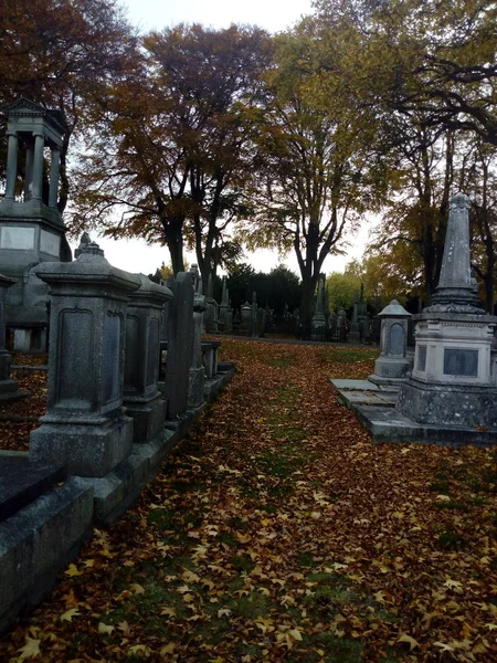 mezarların arasında hayat