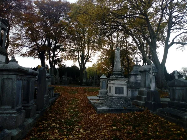 mezarların arasında hayat