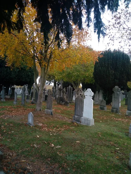 mezarların arasında hayat