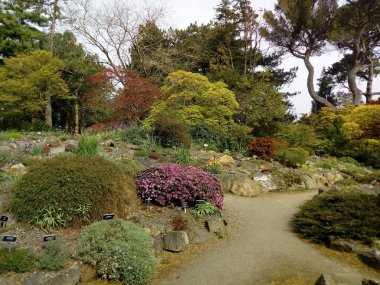 Doğa getiriyor renkler