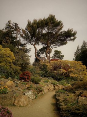 Doğa getiriyor renkler