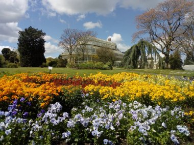 bahar renk ile birlikte gelir,