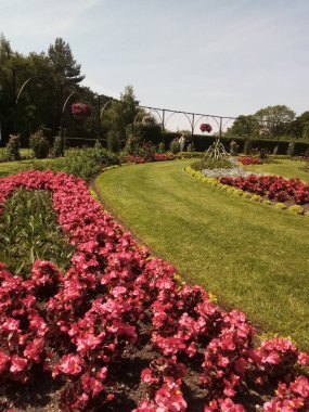 Çiçeklerin yaşamı