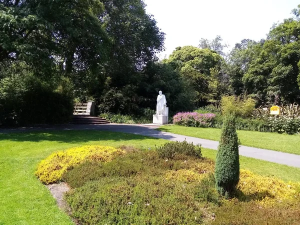 Het Leven Van Natuur — Stockfoto