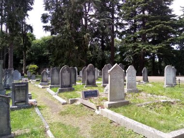 İnsanların uyuduğu yer.