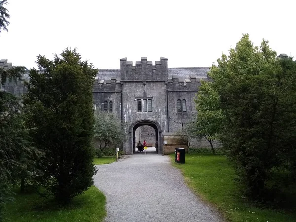 アイルランドの城は — ストック写真
