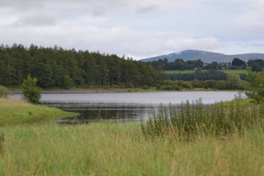Suyun karayla buluştuğu