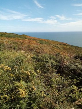 İrlanda toprakları