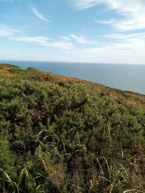 İrlanda toprakları