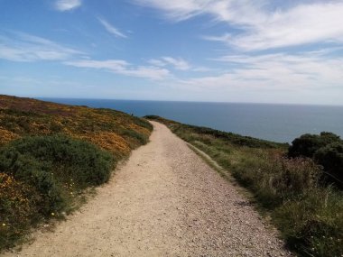 İrlanda toprakları