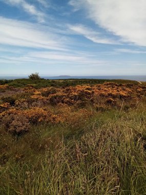 İrlanda toprakları