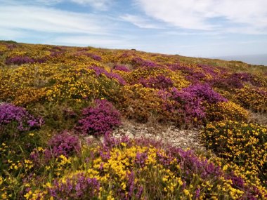 İrlanda 'nın manzaraları