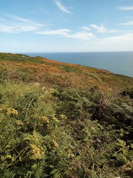 İrlanda toprakları