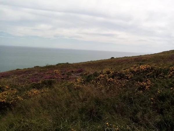 Landscapes Ireland — Stock Photo, Image