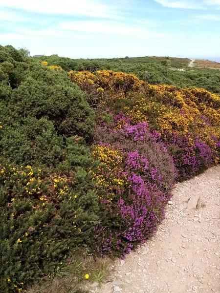 Les Paysages Irlande — Photo