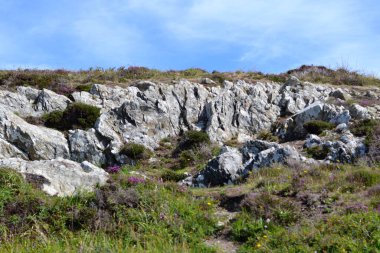 İrlanda toprakları