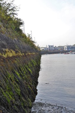 Deniz kenarında yaşam