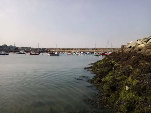 Leven Aan Zee — Stockfoto