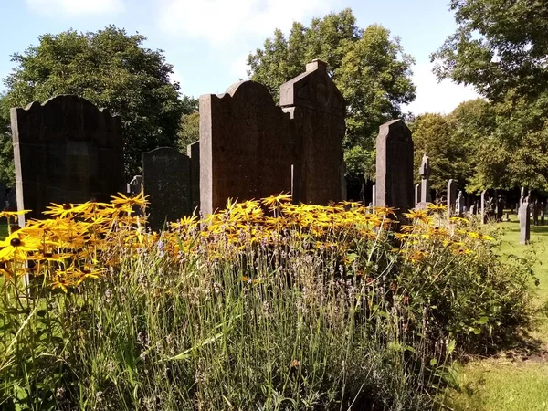 Život Hřbitově — Stock fotografie