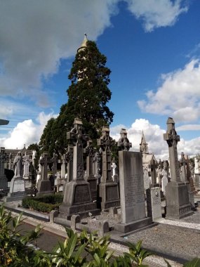 Mezarlıktaki hayat,