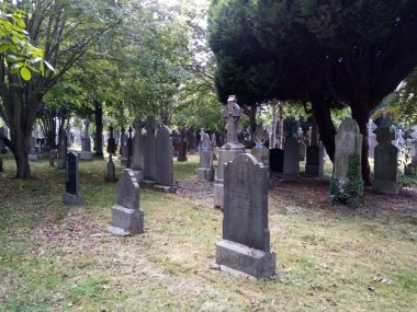 Yerin altında yaşam