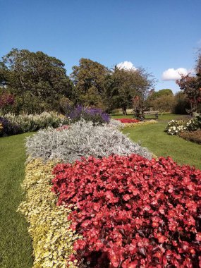 İlkbaharın getirdiği hayat