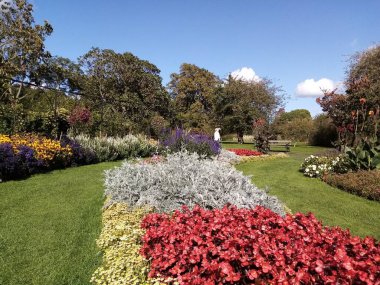 İlkbaharın getirdiği hayat