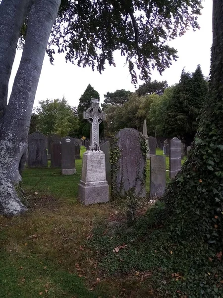 Ağaçların yaşamı,