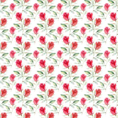 Güzel parlak sofistike harika güzel bahar yaz çiçek bitki botanik parlak kırmızı rustik gül yeşil yaprakları desen suluboya el kroki ile. Kartları mükemmel Tekstil