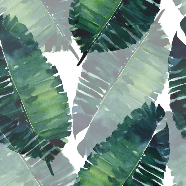 Tropical Bonito Lindo Maravilhoso Hawaii Floral Herbal Verão Verde Palma — Fotografia de Stock