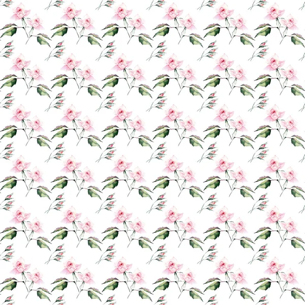 Bonita Brilhante Elegante Colorido Macio Suave Rosa Primavera Ervas Rosa — Fotografia de Stock